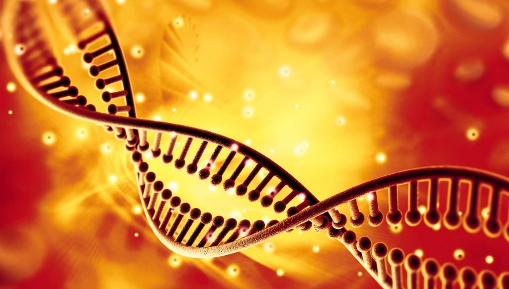 dna